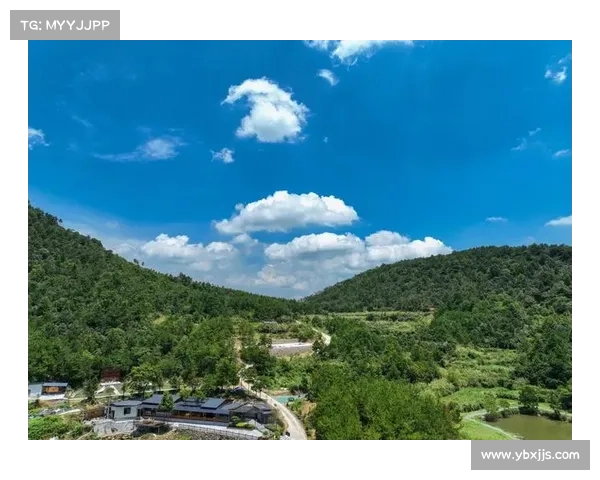 让归家时光充满温馨与宁静的10个小秘诀让你回到家的每一刻都更美好 让归家时光充满温馨与宁静的10个小秘诀让你回到家的每一刻都更美好